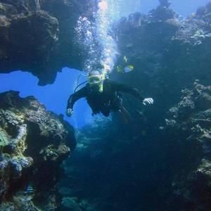 Meet your Posher, Roy